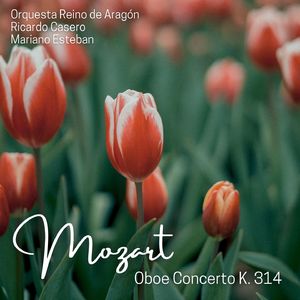 Oboe Concerto in C Major, K. 314:II. Adagio non troppo