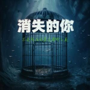 DJEwen-张碧晨-笼 -DJEwen Bootleg V2（DJEwen remix）