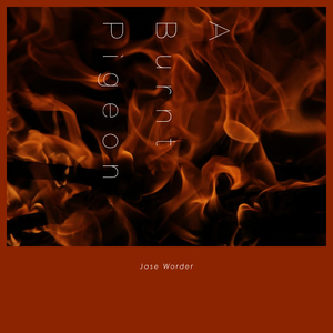 The Story of A Burnt Pigeon