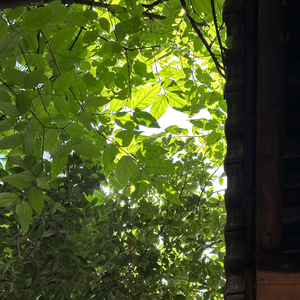 123Doremi（verse2）翻唱