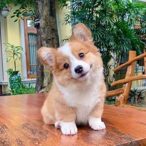 哈哈哈哈哈哈哈哈哈