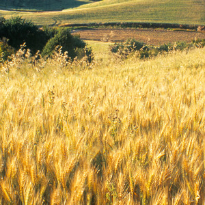 一眨眼就到了输不起的年龄
