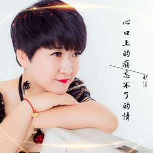 心口上的痛忘不了的情（2026新版）