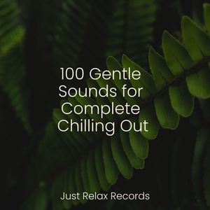 Echoes of Unspoken Desires