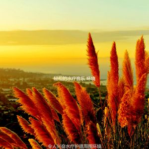 一尘不染水疗护理印象数