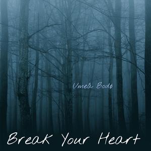 Break Your Heart