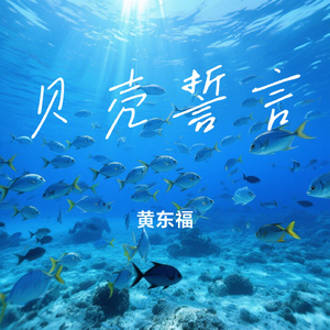 贝壳誓言