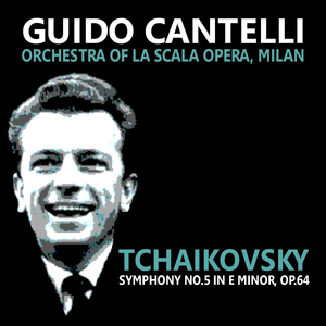 Symphony No. 5 in E Minor, Op. 64: I. Andante. Allegro con anima