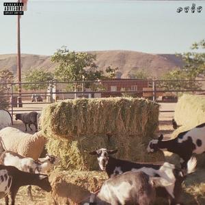 PROBLEMS (feat. Themba)