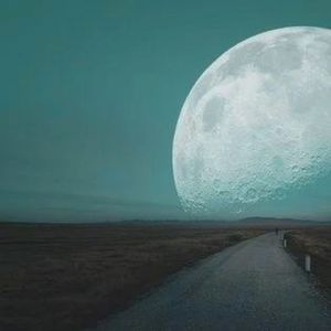 分忧草 (优雅钢琴曲)