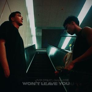 Won't Leave You (feat. carlixe)