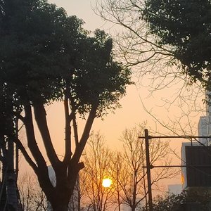 小星星星星_1