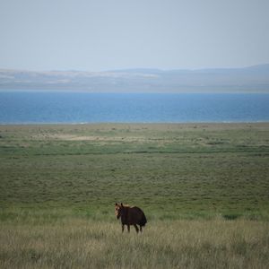 不要在春天欺骗我