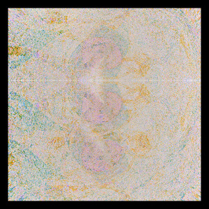 Don't Leave the Door Open If You're Not Coming Back.