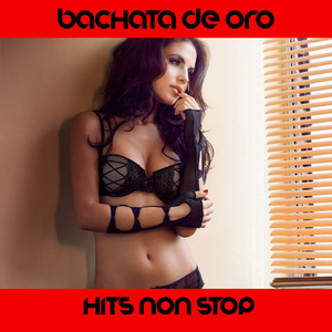 Bachata de Oro Medley: Camino Sin Regreso / Cuando Volveras / Dulce Amor / L'emozione non ha voce / Beso Bachata / Pideme / Mas mujer / Quel Vuelva / Spanish Girl / Bachata Mulata / Tu / Pasitos / Bachata Rosa / Roguerdo / Te Quiero /
