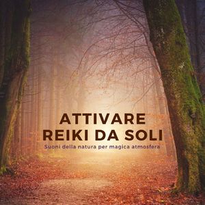 Attivare reiki da soli