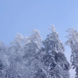 会说话的哑巴（Prod.Siren&WUJIE&Lilcci)