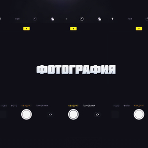 Фотография
