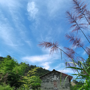 友谊天长地久 (冥想打坐放松轻音乐)