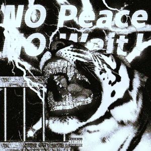 No Peace No Wait