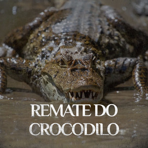 Remate Do Crocodilo