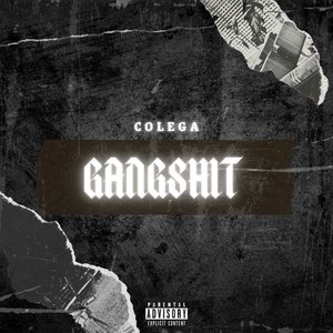 Gangshit