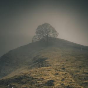 【Not Free】“追逐黎明”