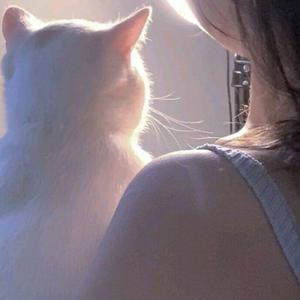 岩崎琢-Teddy（下次捧花见面吧 remix）