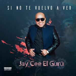 Si No Te Vuelvo a Ver