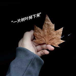 一片树叶掉下来