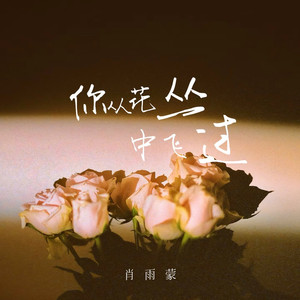 你从花丛中飞过 (Live合唱版)