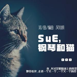 SuE、钢琴和猫