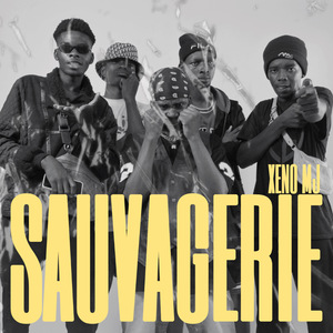 SAUVAGERIE