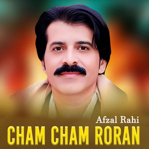 Sialkot Chaleay