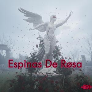 Espinas De Røsa
