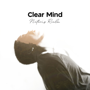 Transportation Again