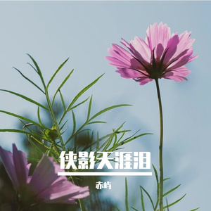 侠影天涯泪 伴奏