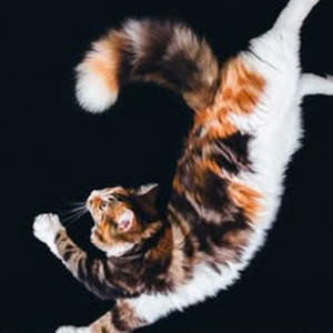 F**kin' Perfect (sped up)