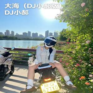 大海 (DJ小郝版)