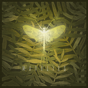 Mayflies (Instrumental)