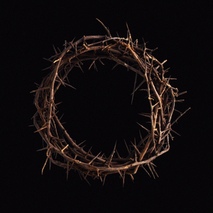 Несущие знамя