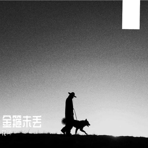 金箍为丢