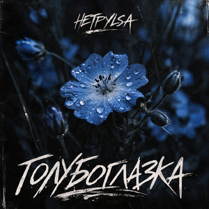 Голубоглазка