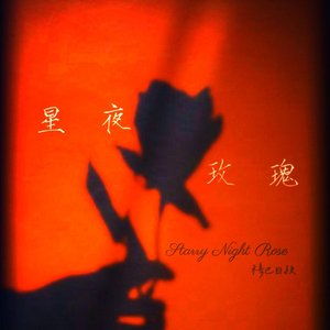 星夜玫瑰