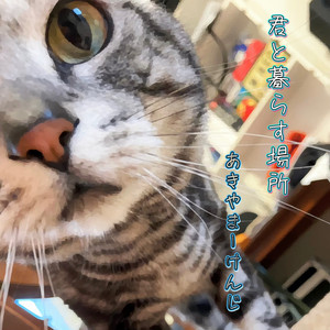 君と暮らす場所 feat. 初音ミク