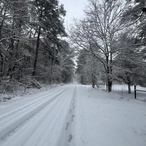 i often wonder if he remembered me