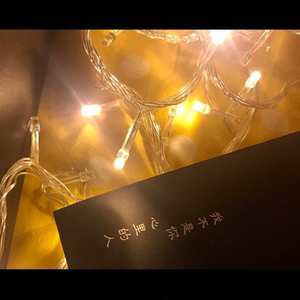 盛夏光年（翻自 陈冰）