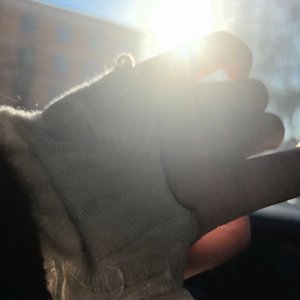 lovingstrangers-胖蛋花