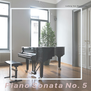 Piano Sonata No.5 in C minor, Op.10 No.1: III. Prestissimo