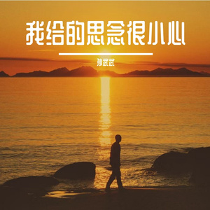 我给的思念很小心